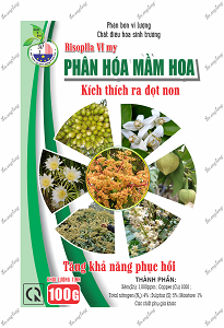 PHÂN HÓA MÀM HOA